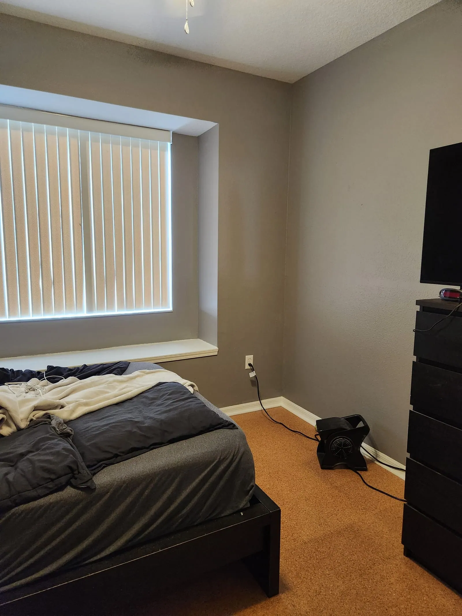 Bedroom after PalmPro painting